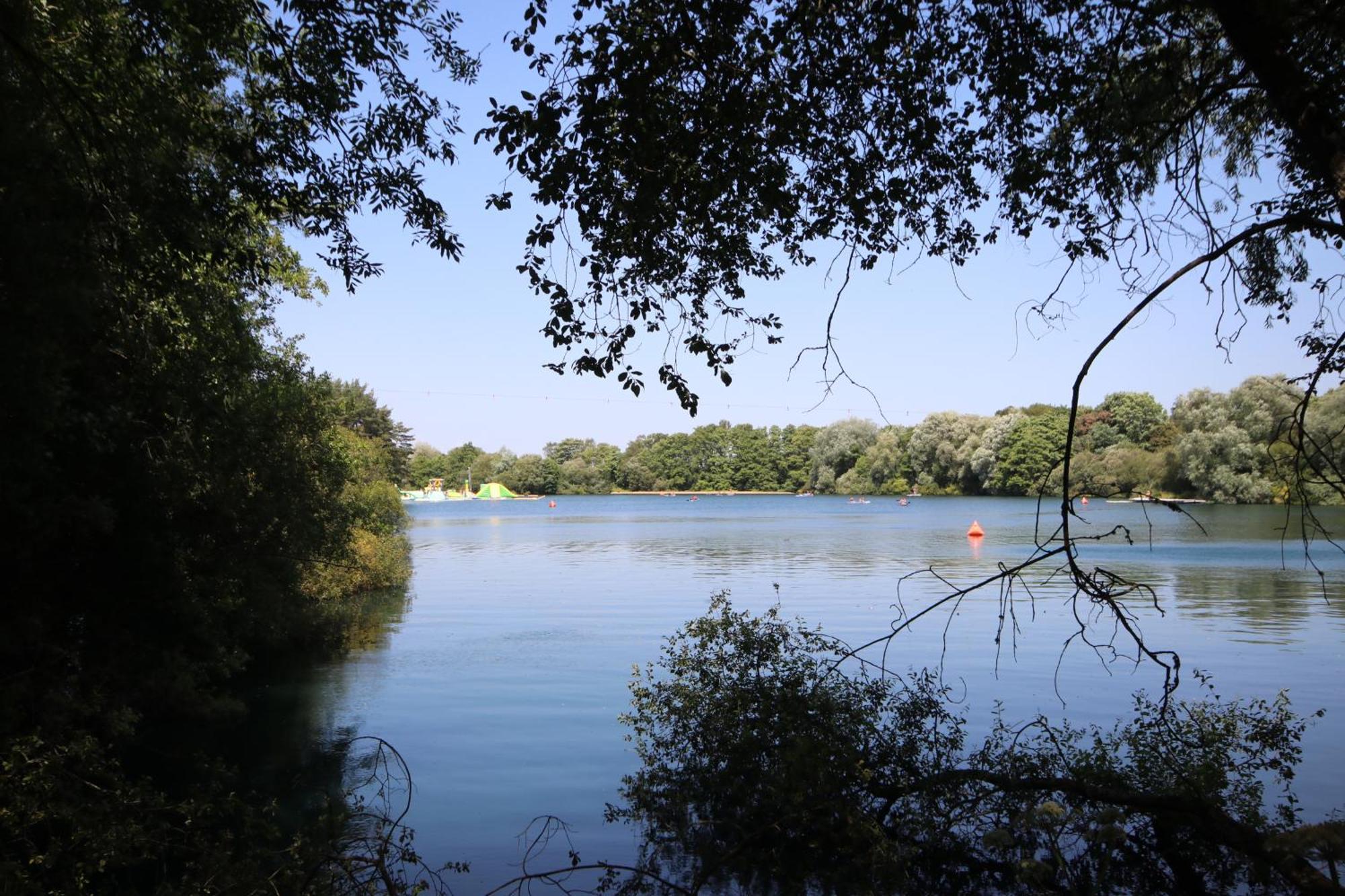 Avondale New Forest Godshill  Екстериор снимка